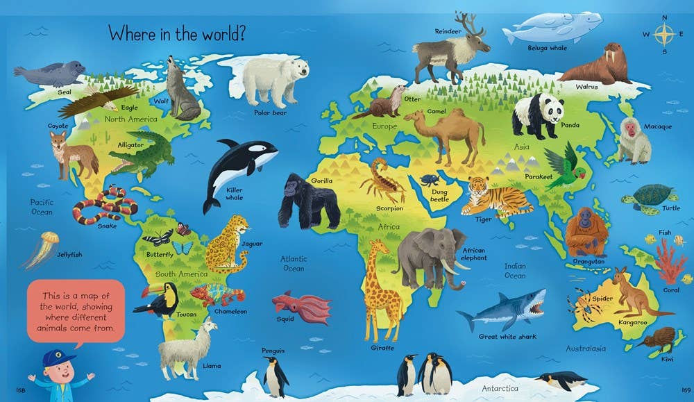 My First Encyclopedia : Usborne - The Yellow Canary