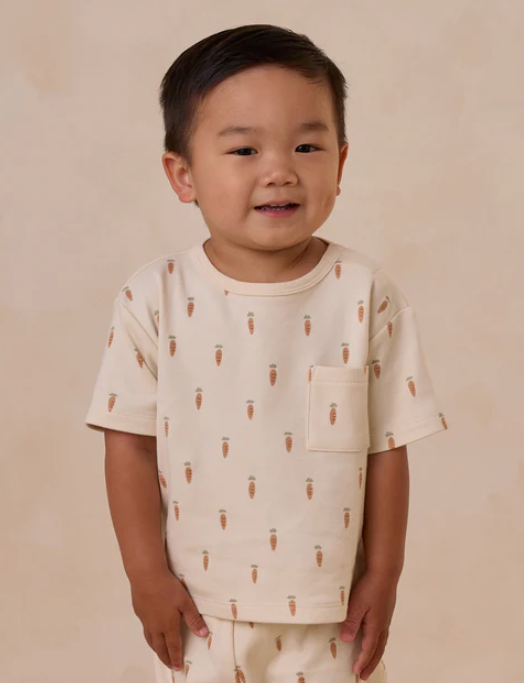 Play Set | Carrots