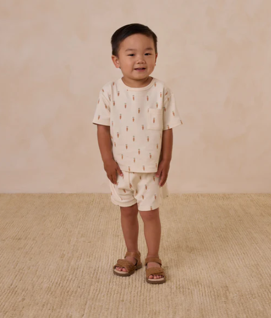 Play Set | Carrots