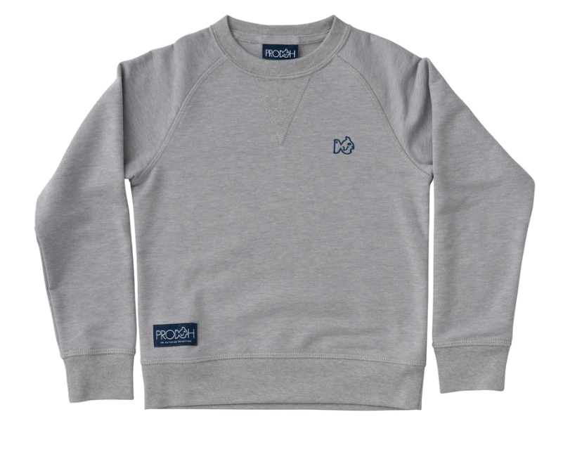 Crew Control Sweatshirt | Gray