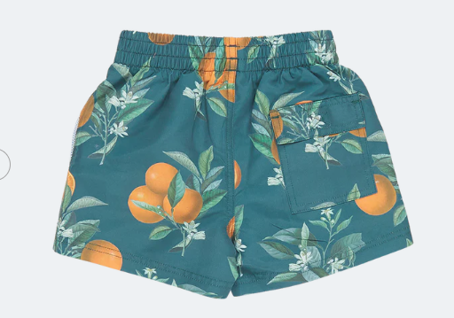 Boys Swim Trunk | Green Botanical Oranges