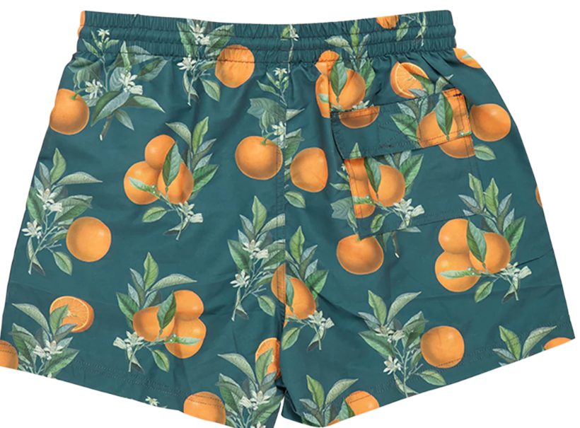 Mens Swim Trunk | Green Botanical Oranges