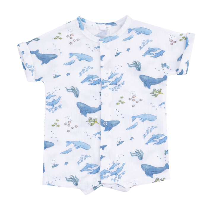 Henley Shortall | Whales