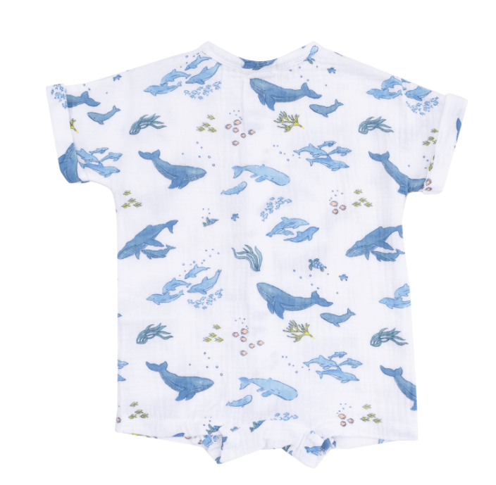 Henley Shortall | Whales