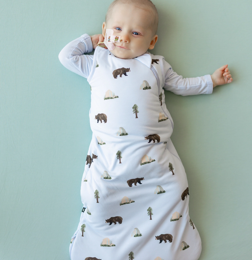 Sleep Bag 1.0 | Yosemite