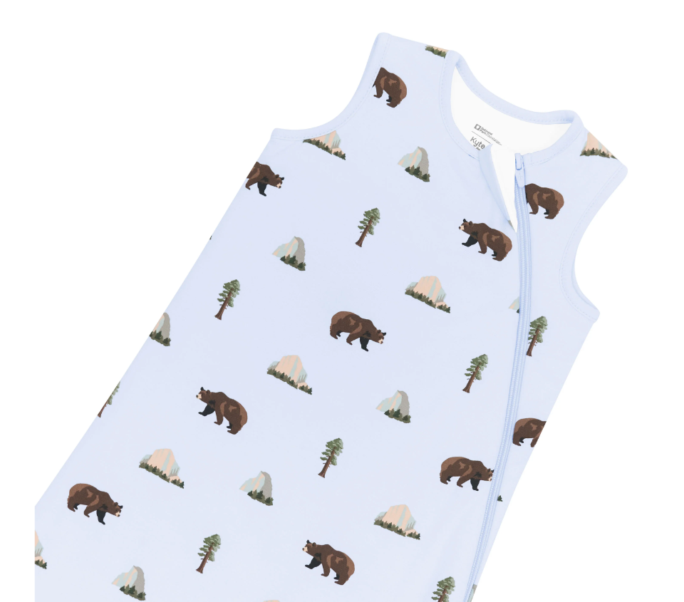 Sleep Bag 1.0 | Yosemite