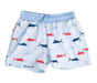 Trunks | Windsurfer Fish - The Yellow Canary