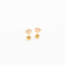 Earrings | Paw Print - The Yellow Canary