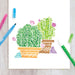 Make no Mistake!: Erasable Markers (Set of 12) - The Yellow Canary